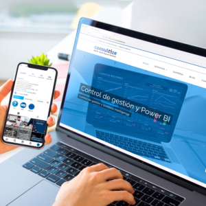 Pàgina web Consultize