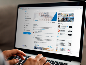 Twitter Consultize