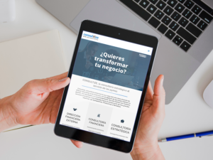 Web Consultize