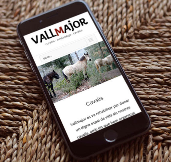 mini-vallamjor