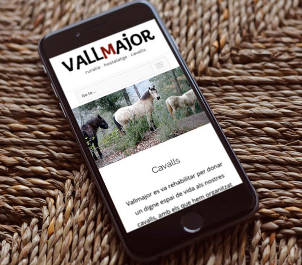 mini-vallamjor