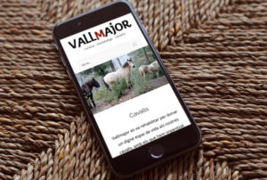 Vallmajor Mobile